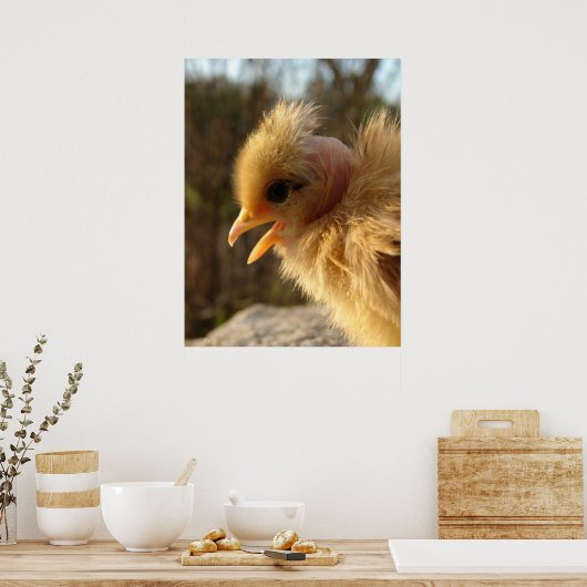 Turkin Chick Poster (Küche)