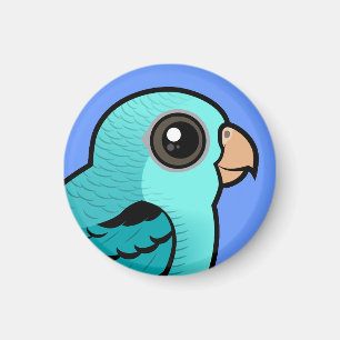 Türkis abgehaltener Parakeet Magnet
