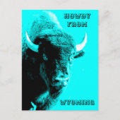 Türkis Blue Buffalo Bull Bison Howdy aus Postkarte (Vorderseite)