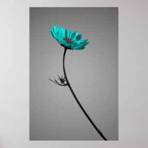 Türkis-Blumenplakat Poster