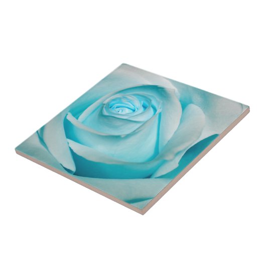 Türkis-Eis-Rose Fliese (Seite)