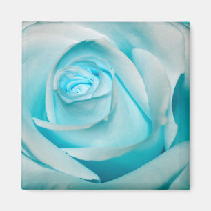 Türkis-Eis-Rose Magnet
