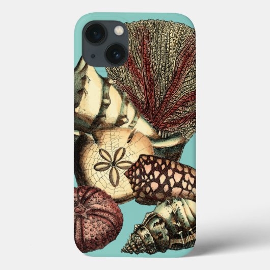 Türkis-Muschel und rote Korallen-Sammlung Case-Mate iPhone Hülle (Rückseite)