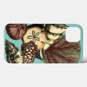 Türkis-Muschel und rote Korallen-Sammlung Case-Mate iPhone Hülle (Rückseite (Horizontal))