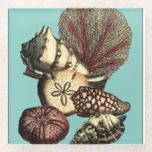 Türkis-Muschel und rote Korallen-Sammlung Glasuntersetzer