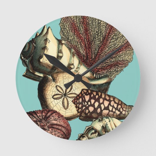 Türkis-Muschel und rote Korallen-Sammlung Runde Wanduhr (Vorderseite)