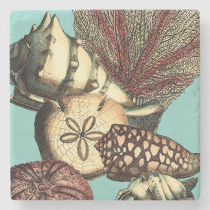 Türkis-Muschel und rote Korallen-Sammlung Steinuntersetzer