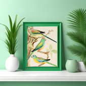 Türkis Parakeet Poster