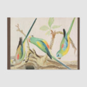 Türkis Parakeet Seidenpapier (Vorderseite)