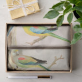 Türkis Parakeet Seidenpapier (Geschenk)