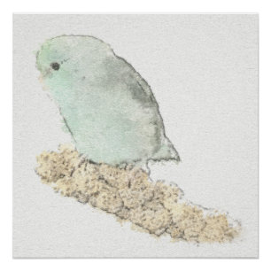 Türkis Parrotlet auf Hirse-Aquarell Poster