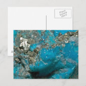 Türkis Postkarte (Vorne/Hinten)