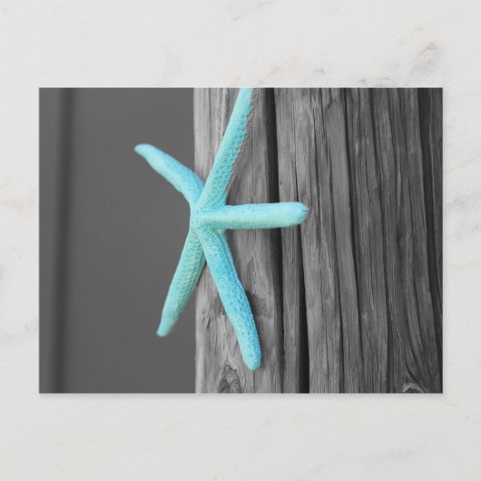 Türkis-Starfish-Küste Postkarte (Vorderseite)