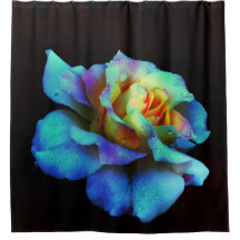 Türkis und Gold Regenbogen Rose Duschvorhang