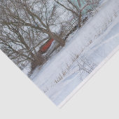 Türkis Winter Barn Seidenpapier (Ausschnitt)