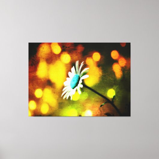 Türkisblau-Daisy in goldummantelter Leinwand (Vorderseite)