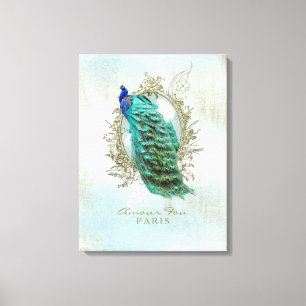 Türkisblau-Shabby-Pfau - Wrapped Canvas Leinwanddruck