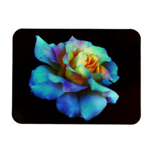 Türkisblaue Krawatte Dyed Rainbow Rose Magnet