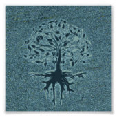 Türkisblume Fotodruck (Vorne)