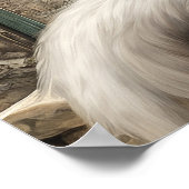 Türkisch Angora - Katalogkunst Poster (Ecke)