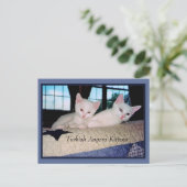 Türkisch Angora Kittens Postkarte (Stehend Vorderseite)