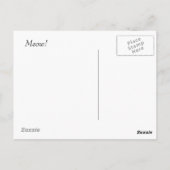 Türkisch Angora Kittens Postkarte (Rückseite)