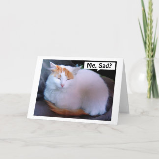 TÜRKISCH VAN CAT IST SO SAD =MISS U BEI CHRISTMAS FEIERTAGSKARTE