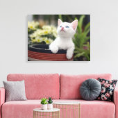 Türkisch White Kitten Leinwanddruck (Insitu (Wohnzimmer))