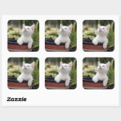 Türkisch White Kitten Quadratischer Aufkleber (Blatt)
