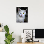 Türkische Angora-Katze mit unübertroffenem Augenpl Poster (Heimbüro)