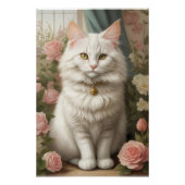 Türkische Angora-Katze Poster (Vorderseite)