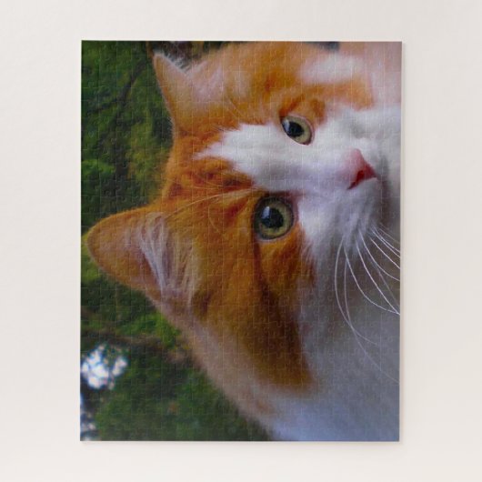 Türkische Angora Katze. Puzzle (Vertikal)