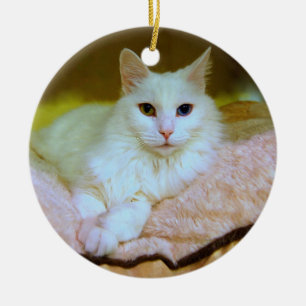 Türkische Angora-Prinzessin Cat Ornament