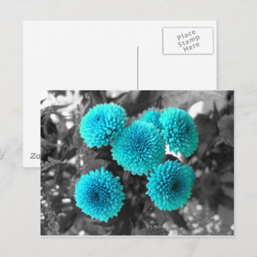 Türkische Blume Postkarte (Vorne/Hinten)