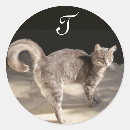 TÜRKISCHE CAT-Monogramm Runder Aufkleber (Vorderseite)