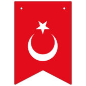 Türkische Flagge (Erste Fahne)