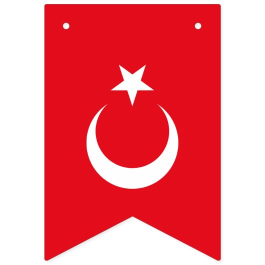 Türkische Flagge (Erste Fahne)