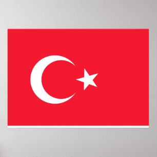 Türkische Flagge Poster