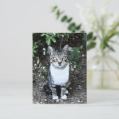 TÜRKISCHE KATRONIN IM GARTEN POSTKARTE (Stehend Vorderseite)