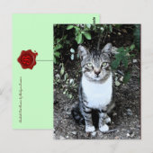 TÜRKISCHE KATRONIN IM GARTEN POSTKARTE (Vorne/Hinten)