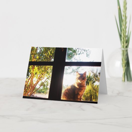 TÜRKISCHE KATZE AM FENSTER KARTE (Vorderseite)