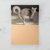 TÜRKISCHE KATZE AUF DEM ALTEN KARPET KARTE (Innenseite)