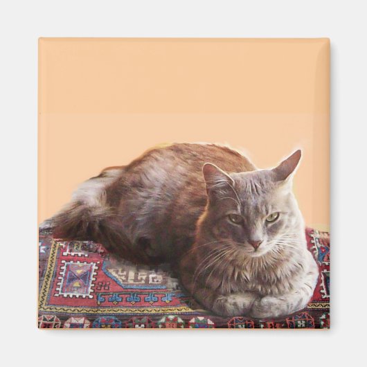 TÜRKISCHE KATZE AUF DEM ALTEN KARPET MAGNET (Vorne)