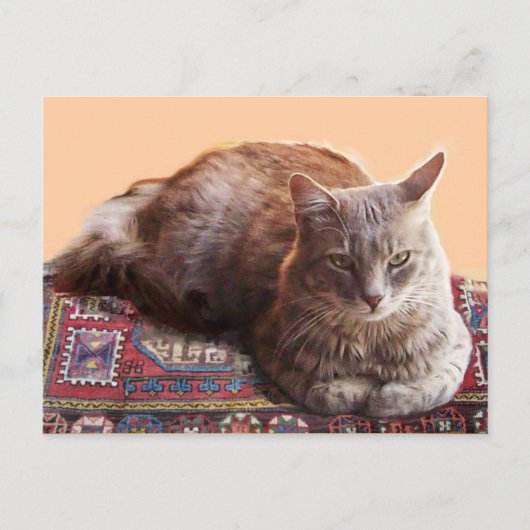 TÜRKISCHE KATZE AUF DEM ALTEN KARPET POSTKARTE (Vorderseite)