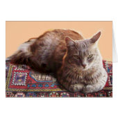 TÜRKISCHE KATZE AUF DEM ANTIKARPET (Vorderseite (Horizontal))