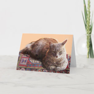 TÜRKISCHE KATZE AUF DER ALTEN KARTE