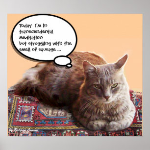 TÜRKISCHE KATZE IN TRANSZENDENTALER MEDITATION POSTER
