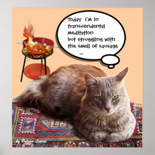 TÜRKISCHE KATZE IN TRANZENDENTALER MEDITATION POSTER