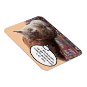 TÜRKISCHE KATZE IN ÜBERSCHREITENDER MEDITUNG MAGNET (Rechte Seite)