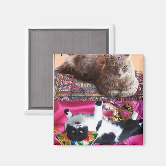 TÜRKISCHE KATZE IN ÜBERSCHREITENDER MEDITUNG MAGNET (Vorderseite/Rückseite)